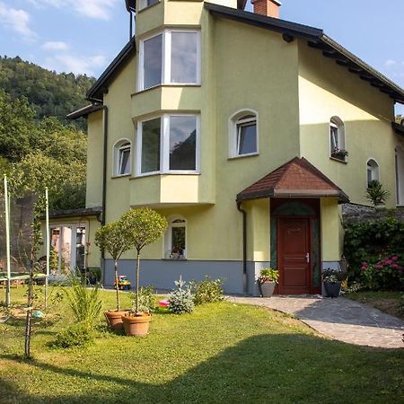 Riverside Villa Avo - Apartment Martin Spodnja Idrija Exteriér fotografie