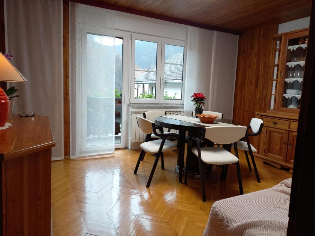 Riverside Villa Avo - Apartment Martin Spodnja Idrija Exteriér fotografie